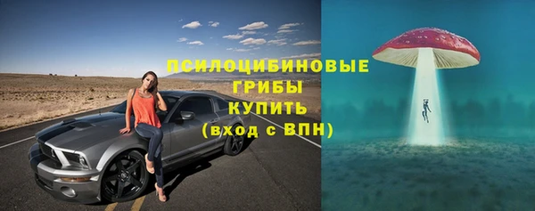 прущие крисы Армянск