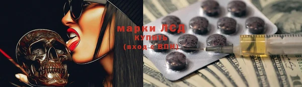 прущие грибы Аркадак