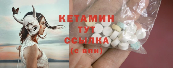 прущие грибы Аркадак