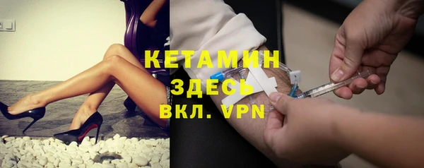 прущие грибы Аркадак