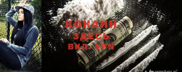 прущие грибы Аркадак