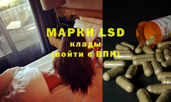 прущие грибы Аркадак