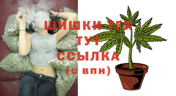 прущие грибы Аркадак