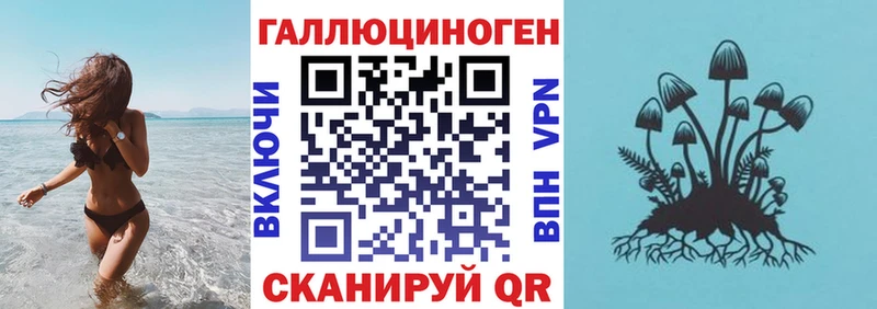 закладки  Богучар  Псилоцибиновые грибы мицелий 
